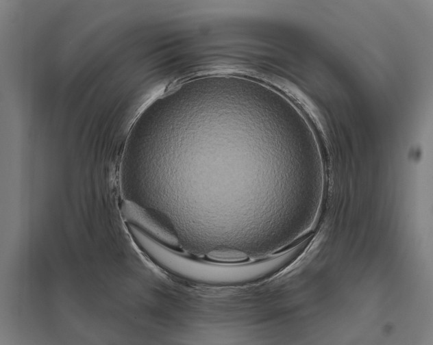 X0000097851385200803281237