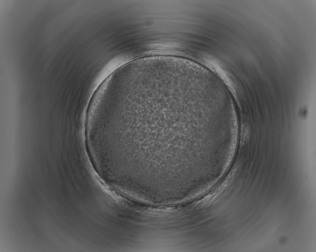 X0000097851386200803281237