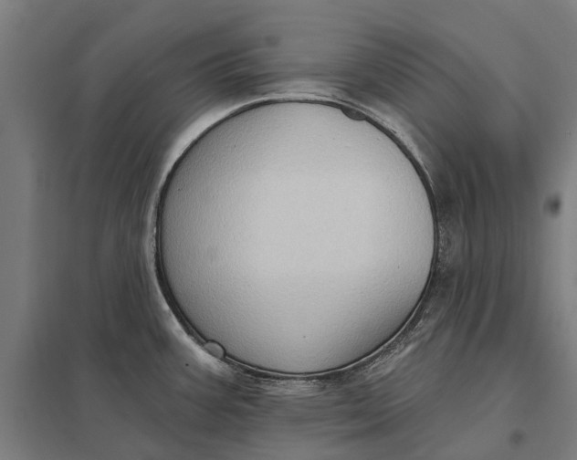 X0000097851387200803281237