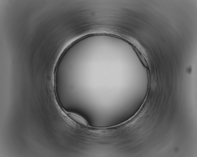 X0000097851388200803281237