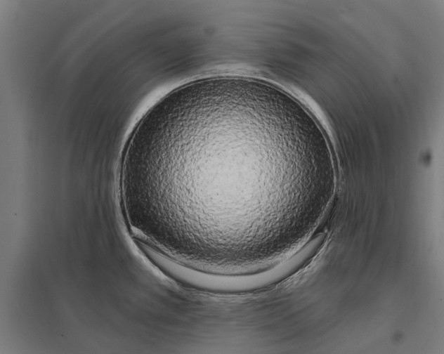 X0000097851389200803281237