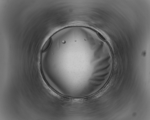 X0000097851390200803281237