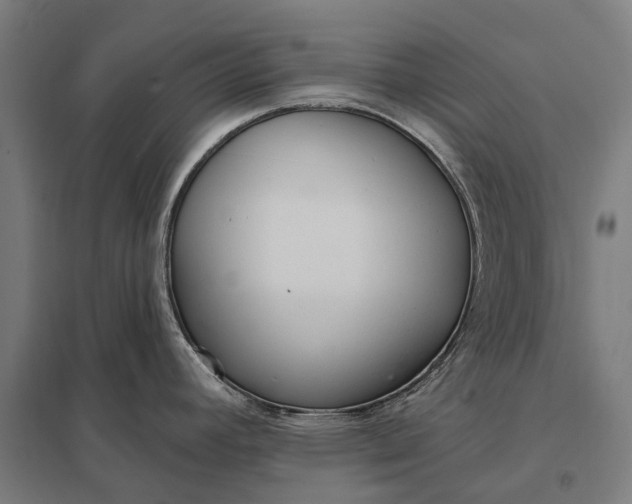 X0000097851392200803281237