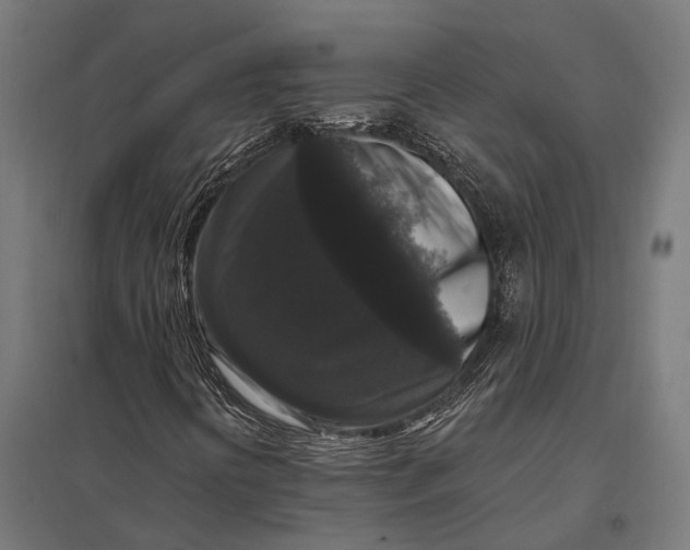 X0000097851394200803281236