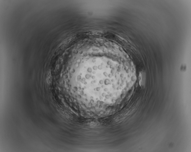 X0000097851395200803281236