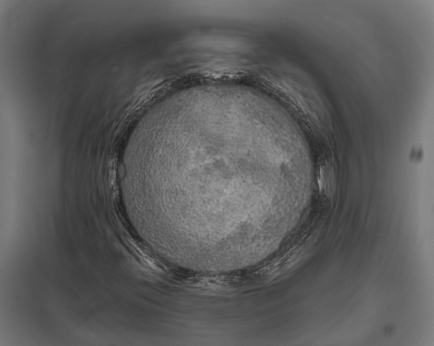 X0000097851396200803281236