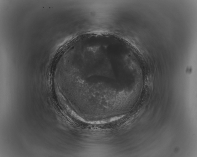 X0000097851398200803281236