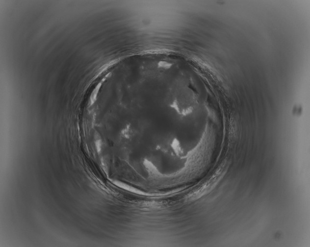 X0000097851401200803281236