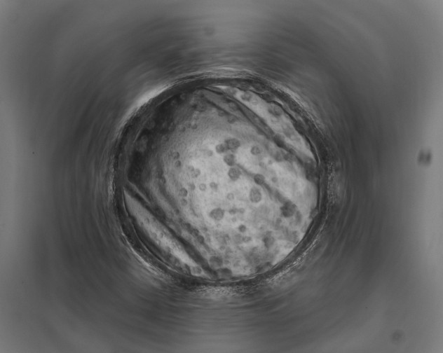 X0000097851402200803281236