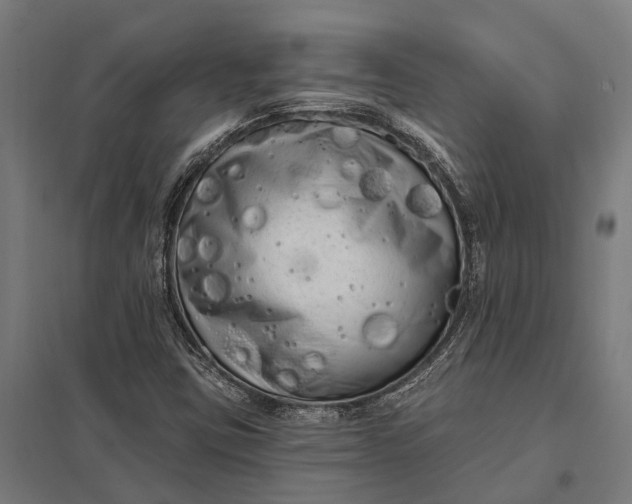 X0000097851403200803281237