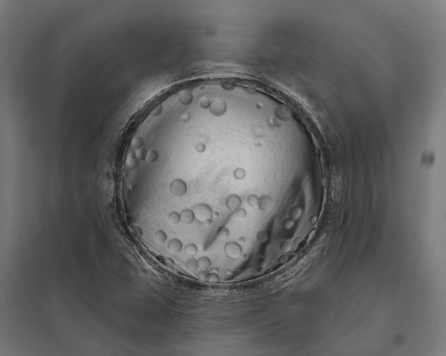 X0000097851407200803281237