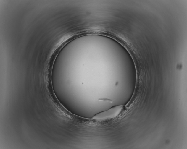 X0000097851410200803281237