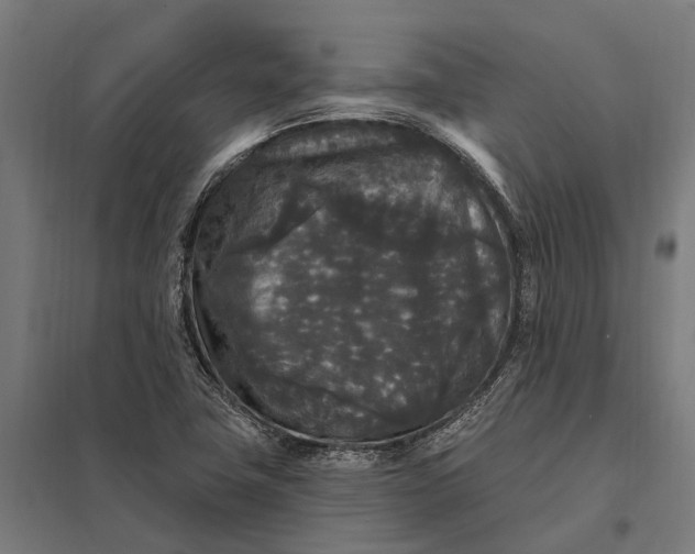 X0000097851411200803281237