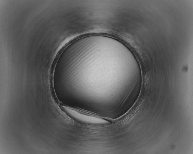 X0000097851412200803281237