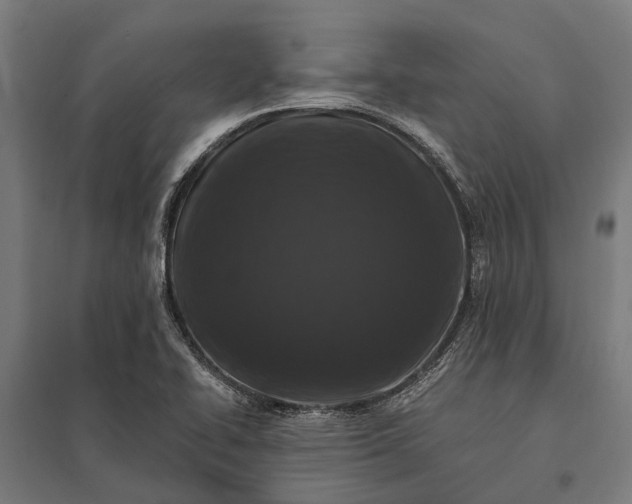 X0000097851414200803281237