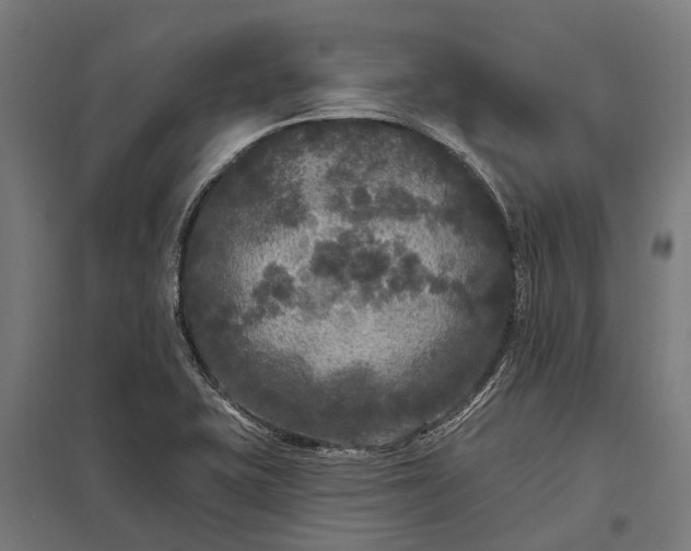 X0000097851415200803281237