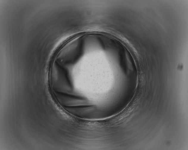 X0000097851416200803281237