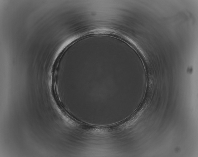 X0000097851418200803281237