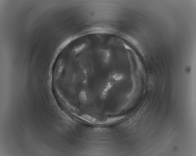 X0000097851419200803281237