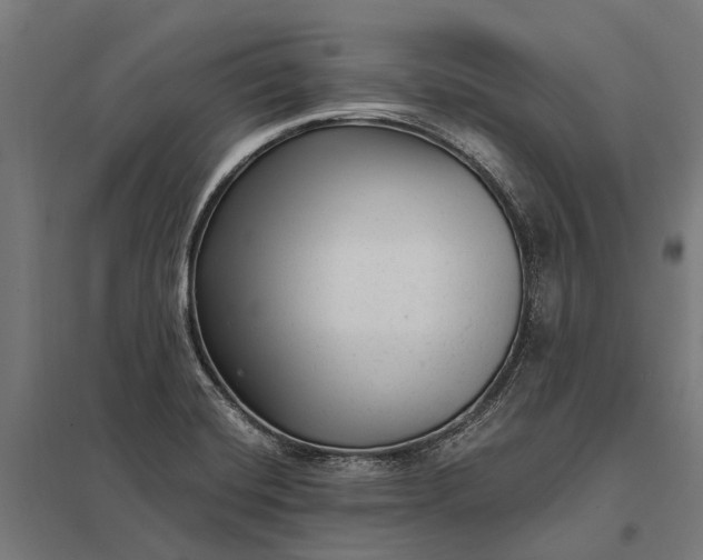 X0000097851420200803281237