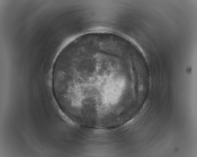 X0000097851421200803281237