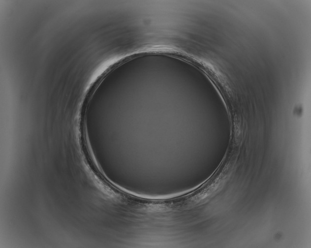 X0000097851422200803281237