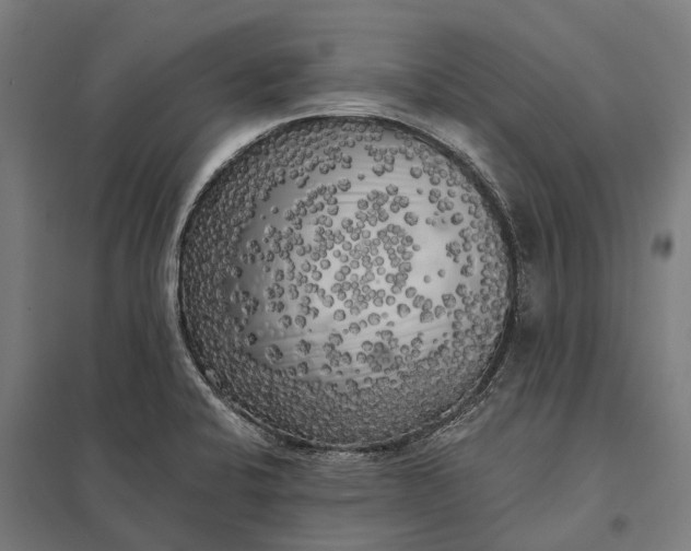 X0000097851424200803281237