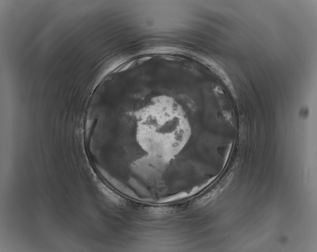 X0000097851425200803281237