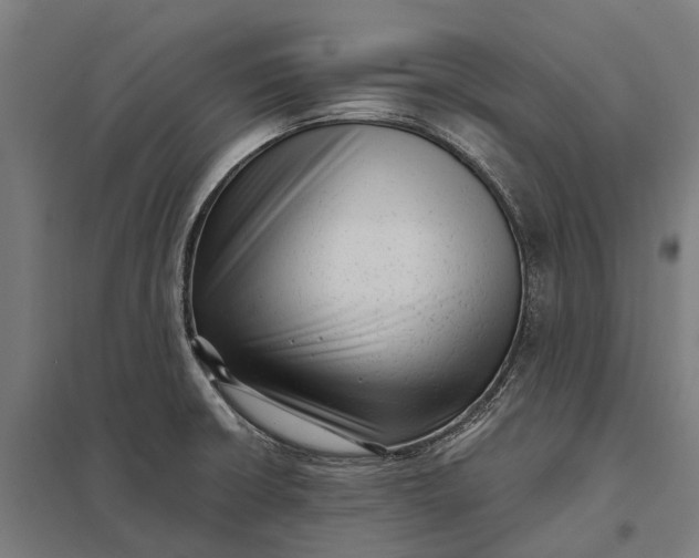 X0000097851426200803281237