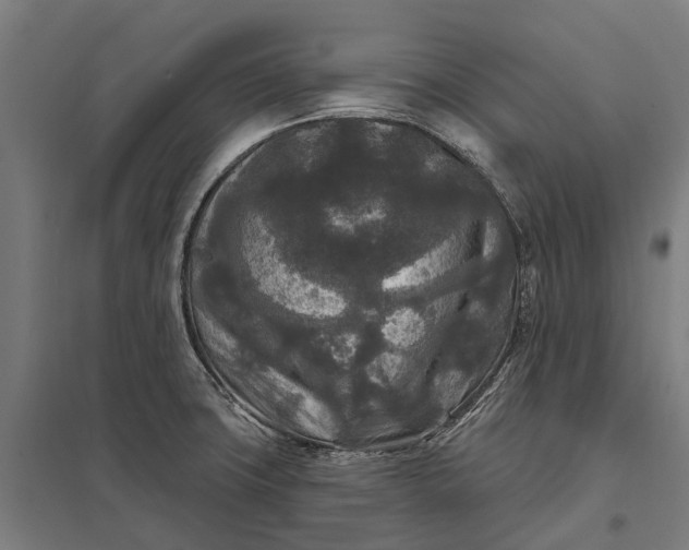 X0000097851427200803281237