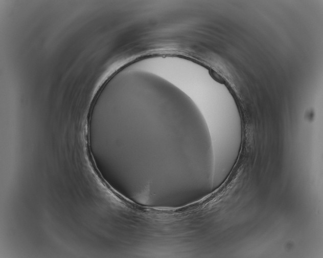 X0000097851428200803281237