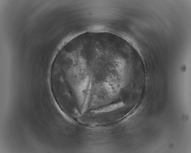 X0000097851429200803281237