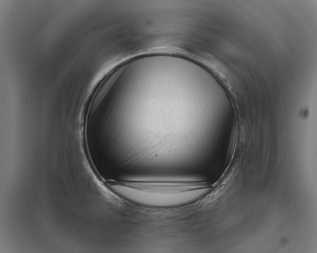 X0000097851430200803281237