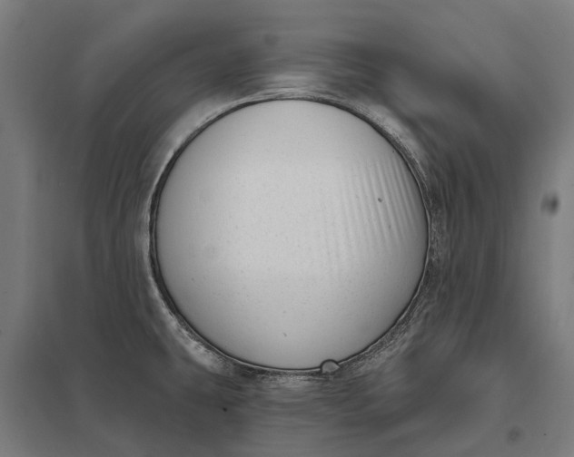 X0000097851431200803281237