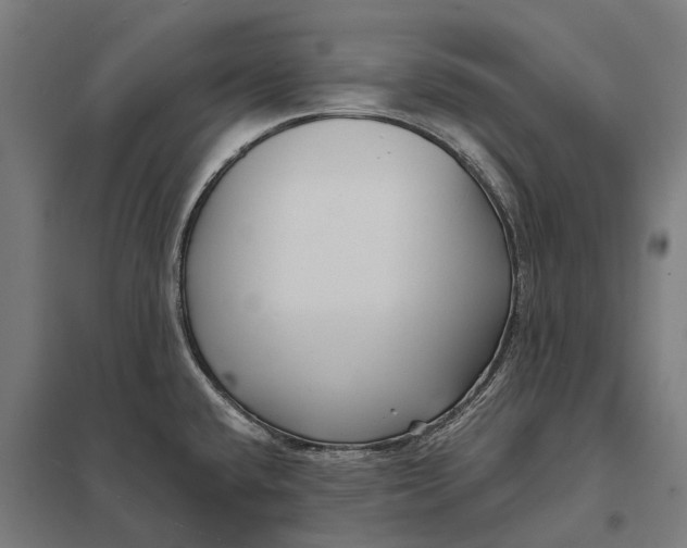 X0000097851432200803281237