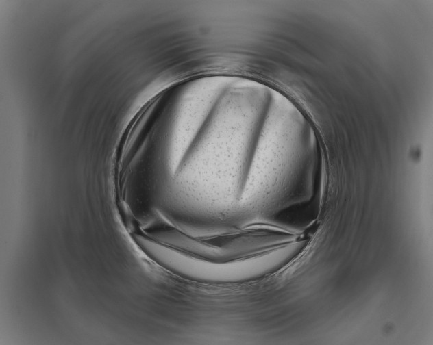 X0000097851434200803281237