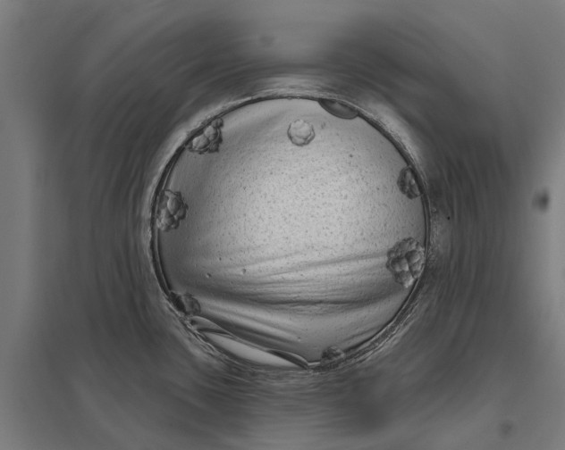 X0000097851435200803281237