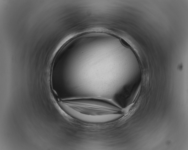 X0000097851438200803281237