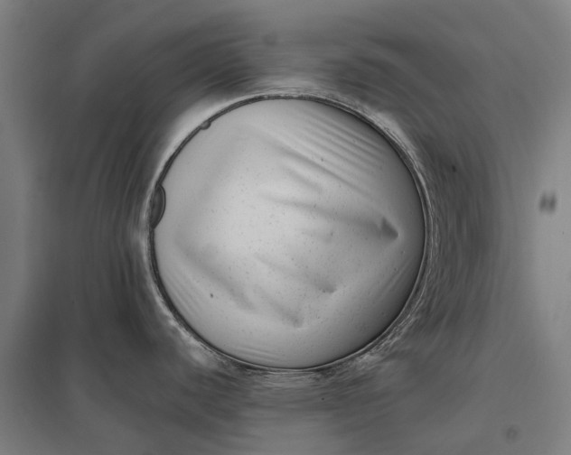 X0000097851440200803281237