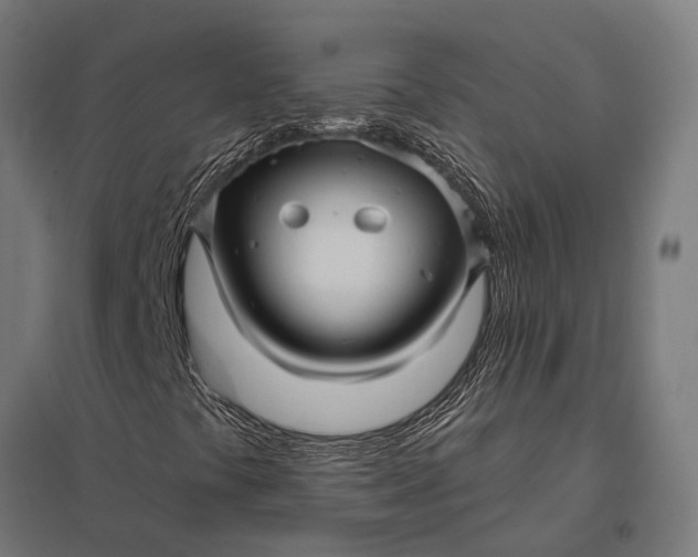 X0000097851441200803281236