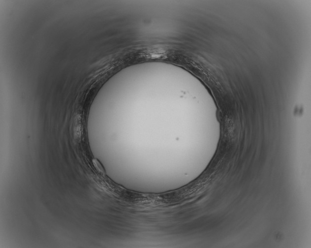 X0000097851442200803281236