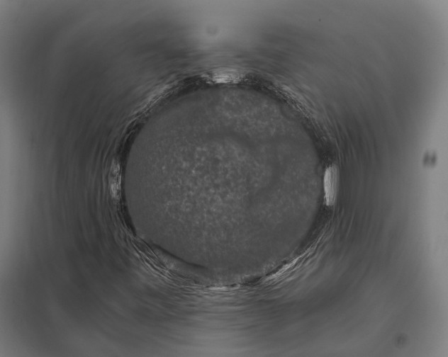 X0000097851443200803281236