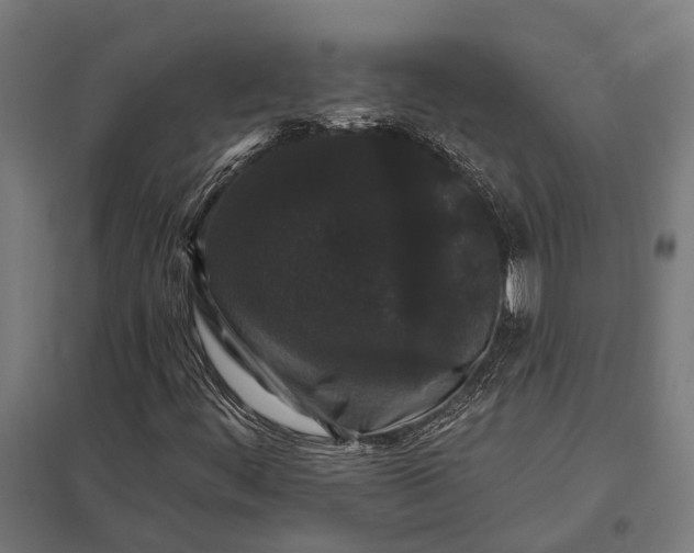 X0000097851444200803281236