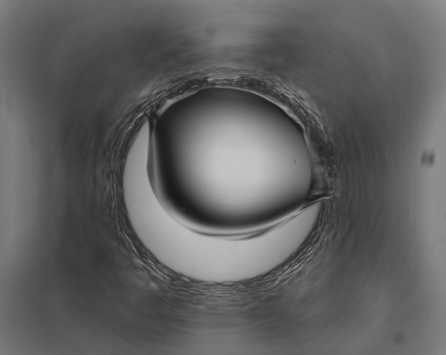 X0000097851445200803281236