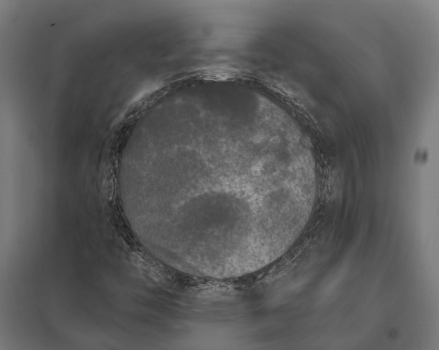 X0000097851446200803281236