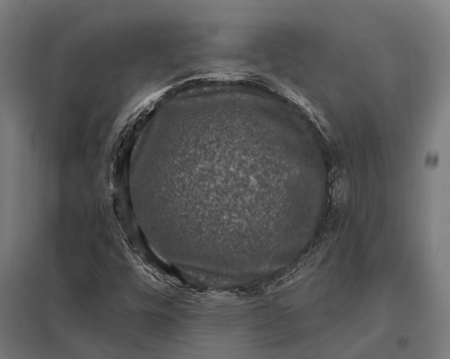 X0000097851448200803281236