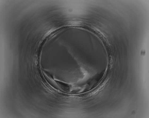 X0000097851449200803281236