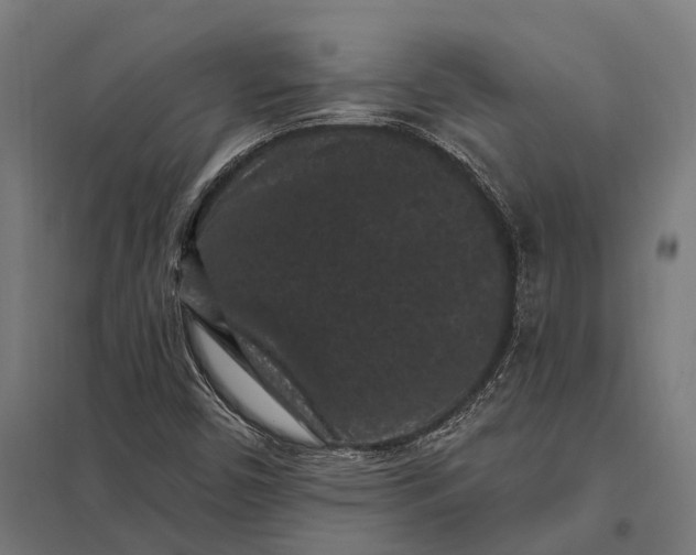 X0000097851450200803281236