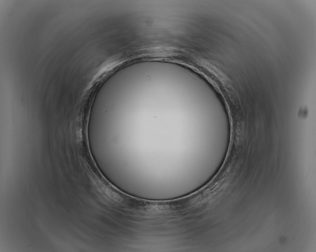 X0000097851451200803281236