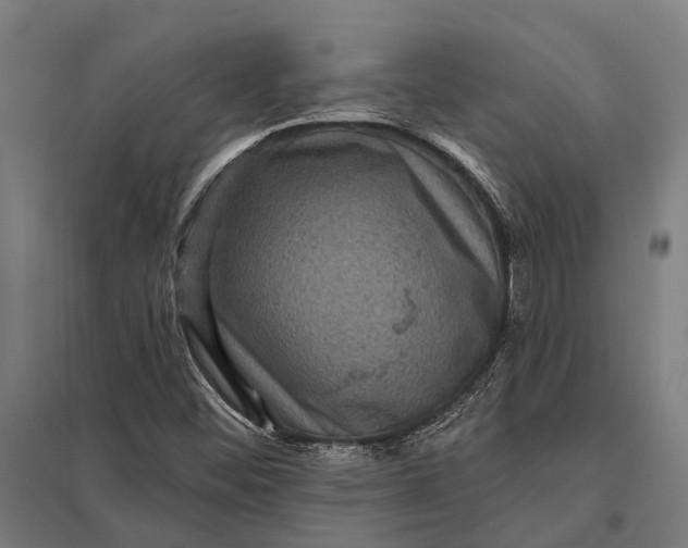 X0000097851452200803281236